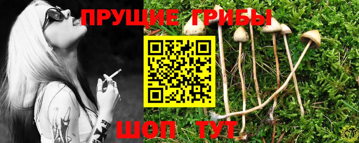 Псилоцибиновые грибы прущие грибы Лабинск