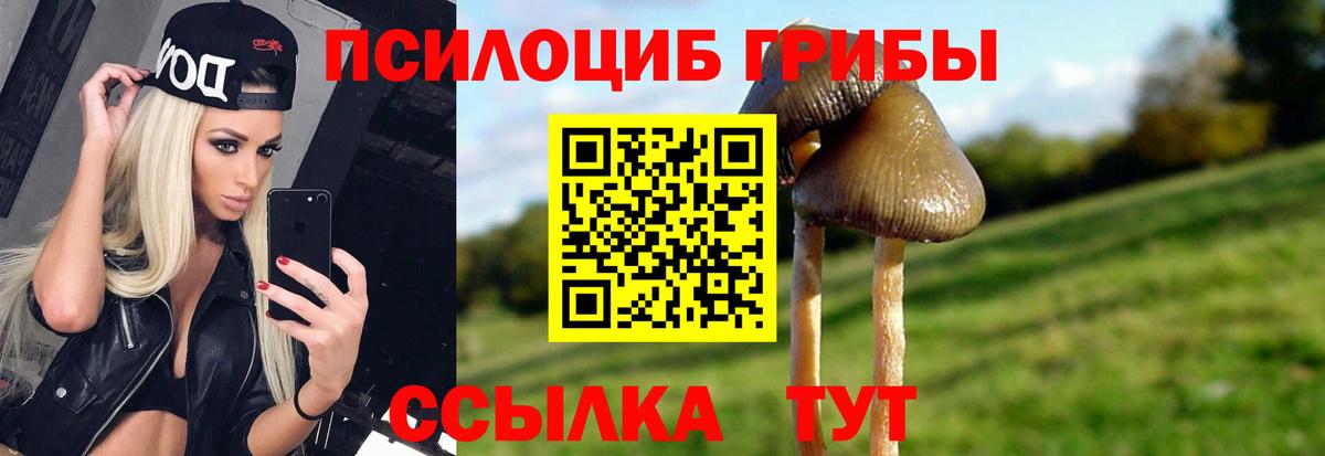 Галлюциногенные грибы GOLDEN TEACHER  Псилоцибиновые грибы MAGIC MUSHROOMS  Лабинск  Вход с VPN 